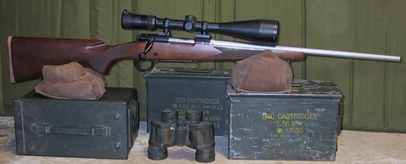 308 winchester rifle